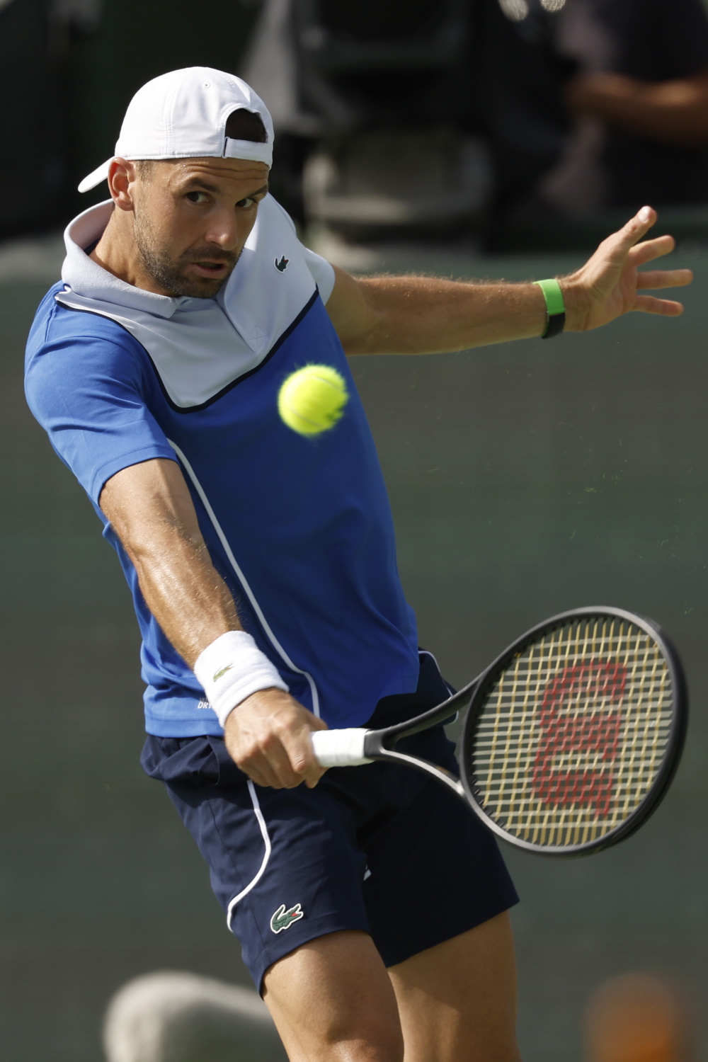 关于美国网球队绝地反击日本网球队，梅德韦杰夫爆发神勇的信息