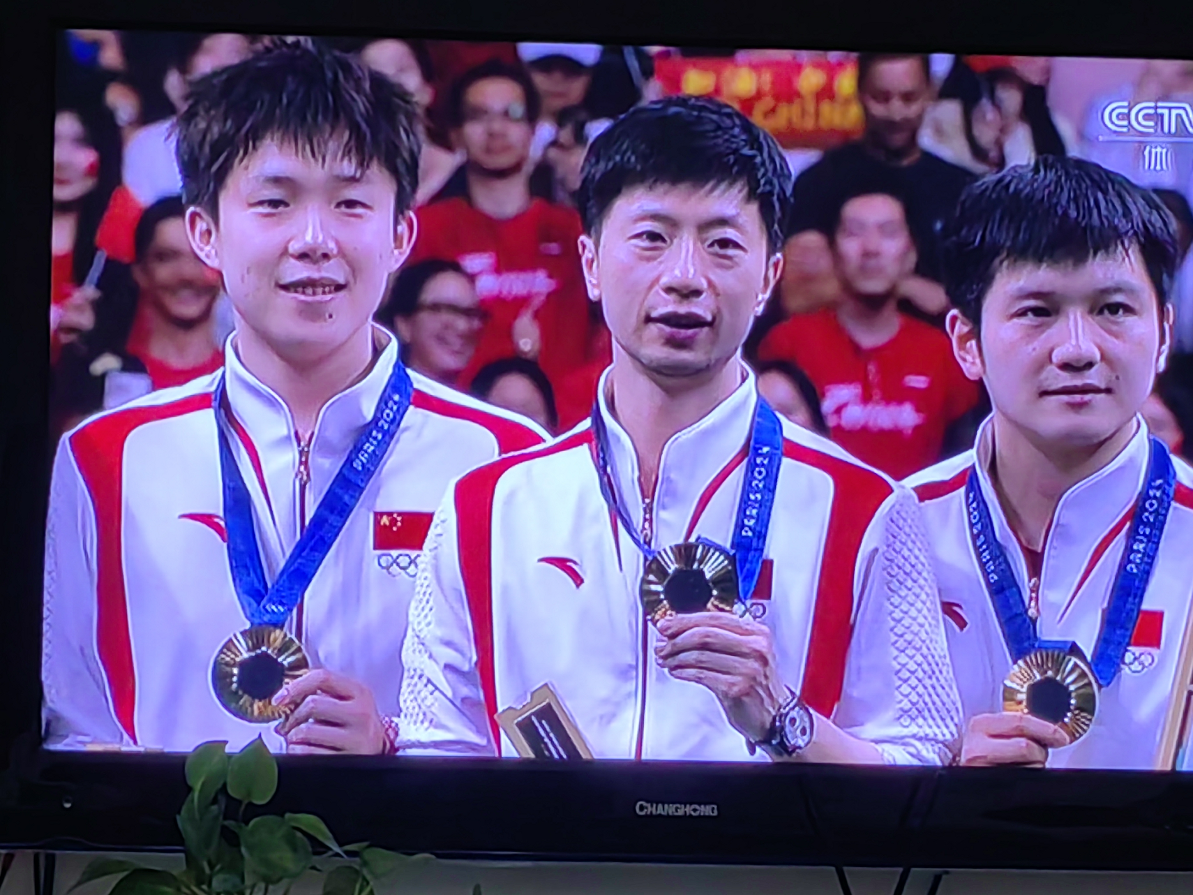 关于瑞典乒乓球队完胜德国乒乓球队，马龙高光表现的信息