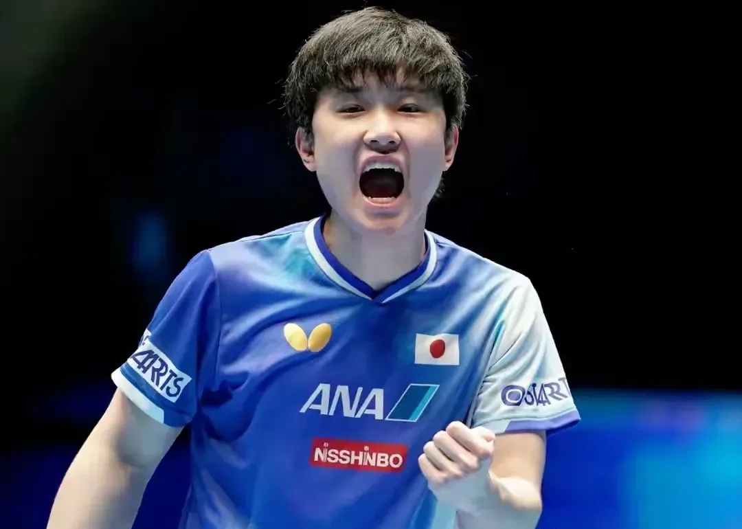 中国乒乓球队横扫波兰乒乓球队，张本智和高光表现的简单介绍