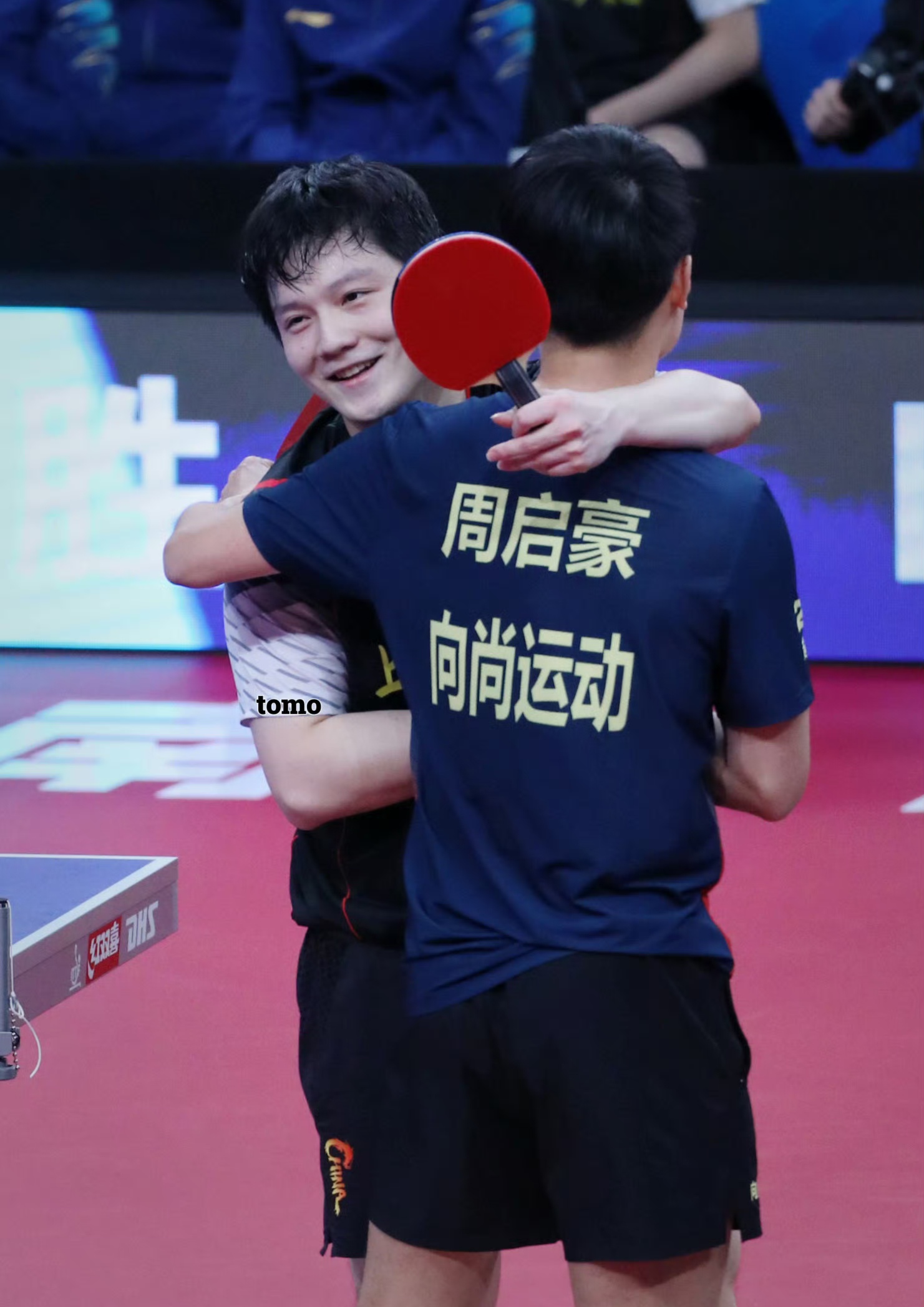 波兰队碾压法国队，樊振东高光表现的简单介绍