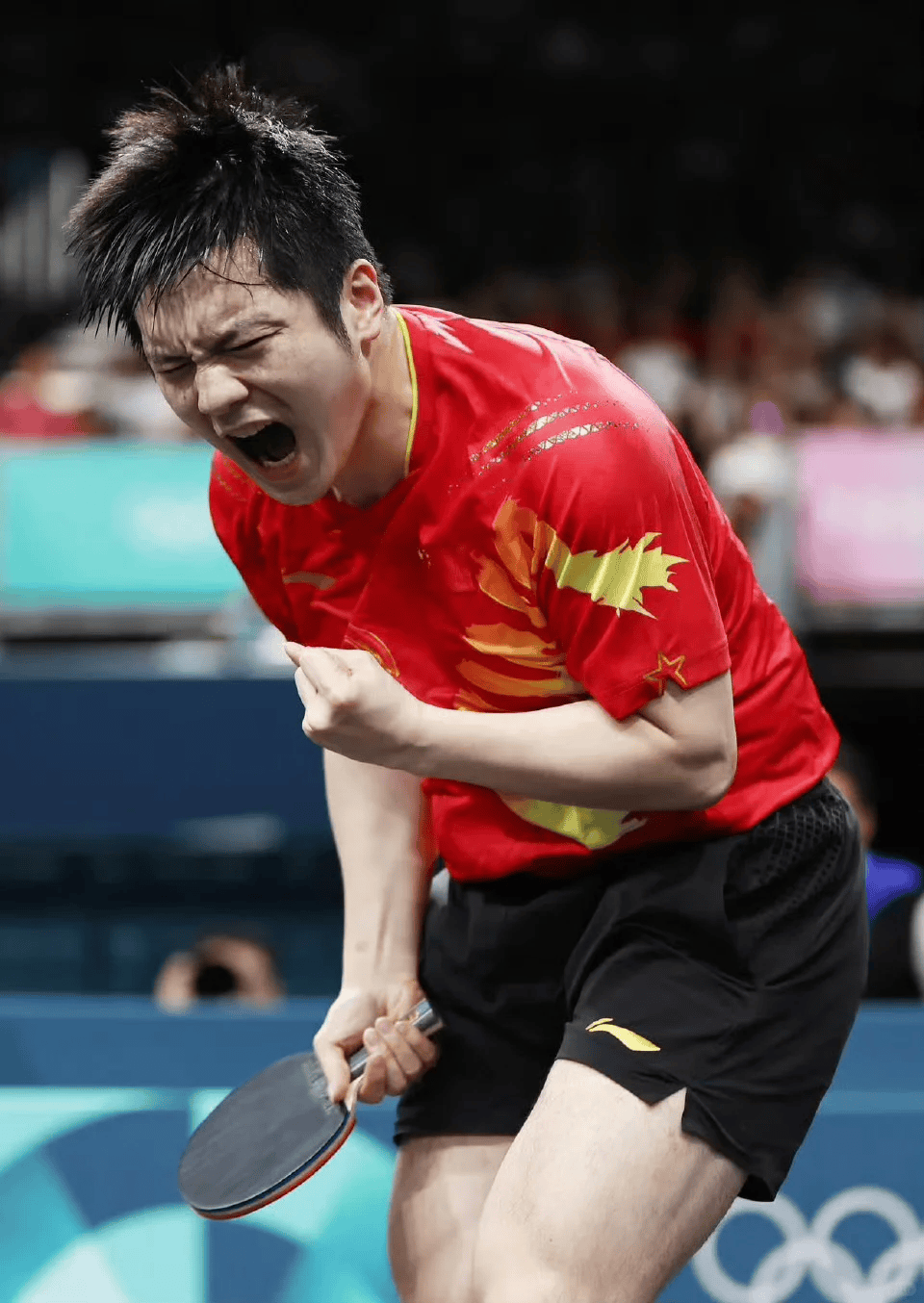 波兰队碾压法国队，樊振东高光表现的简单介绍