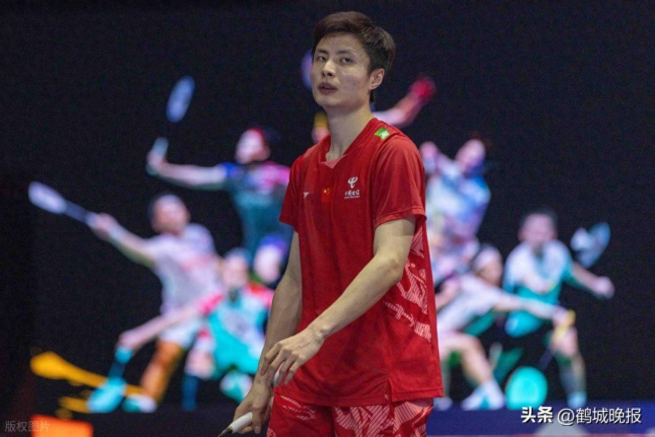 德国队横扫印尼队，石宇奇惊艳四座的简单介绍