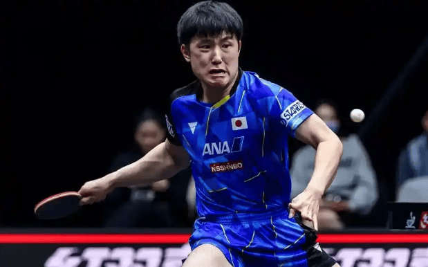 关于瑞典队横扫奥地利队，张本智和高光表现的信息